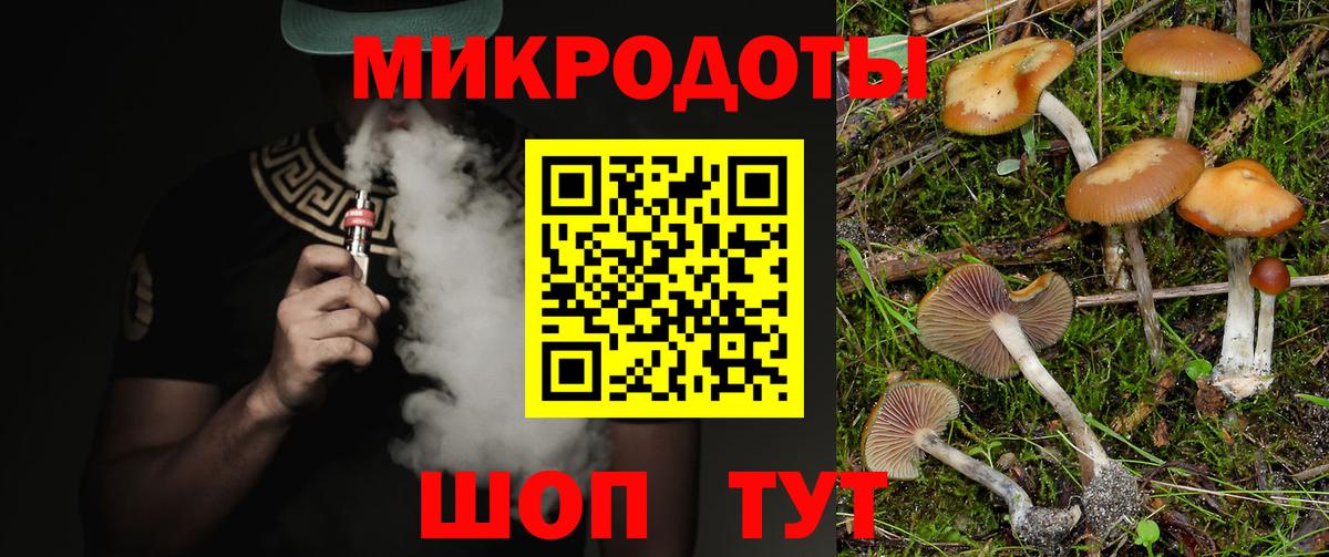 купить наркотик  Вход с VPN  Приморско-Ахтарск  Псилоцибиновые грибы Magic Shrooms 